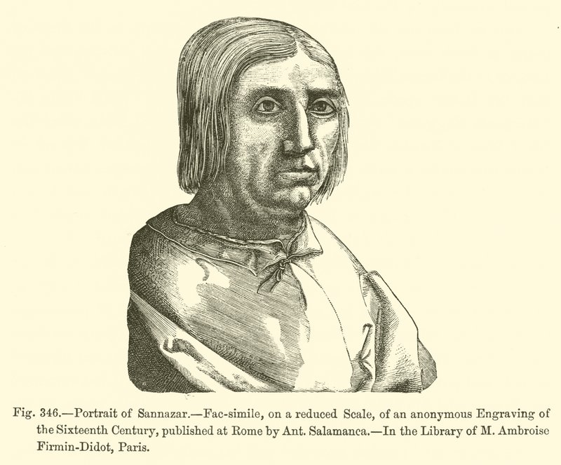 Portrait of Sannazar by French School