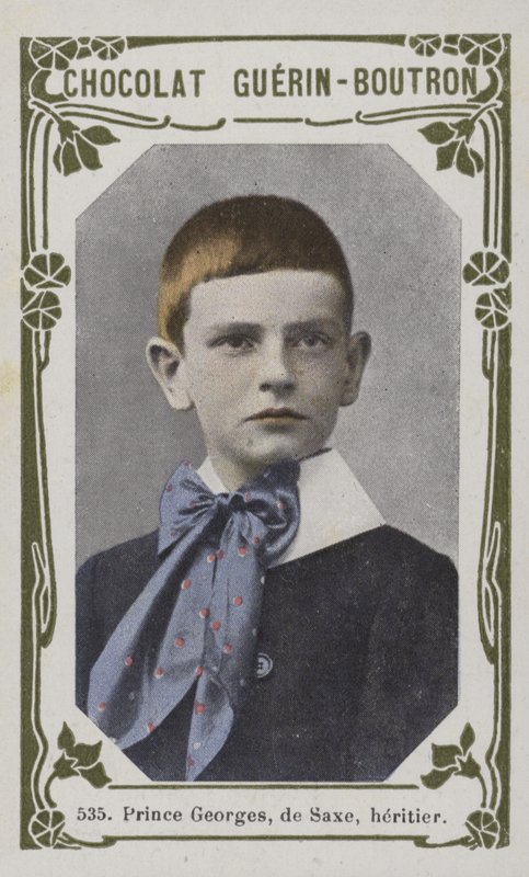 Prince Georges of Saxony, Heir by French School