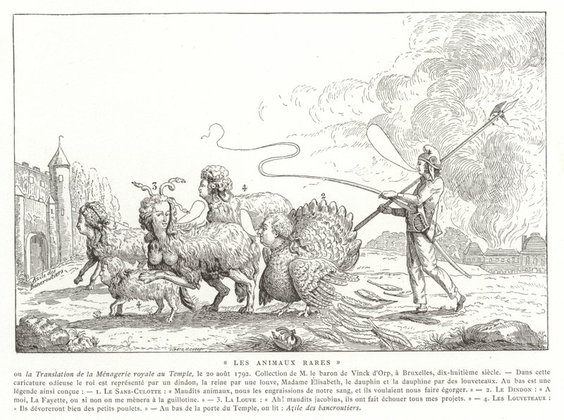 Rare Animals by French School