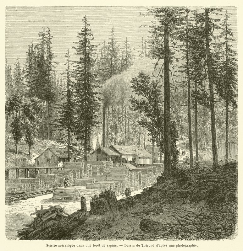 Mechanical Sawmill in a Pine Forest (engraving) by French School