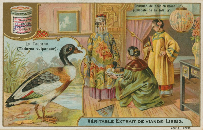 Shelduck; Wedding Gift in China by French School