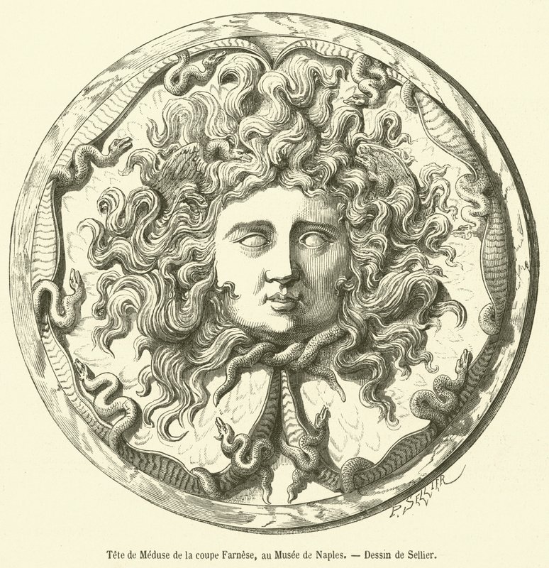 Head of Medusa from the Farnese Cup, in the Naples Museum (engraving) by French School