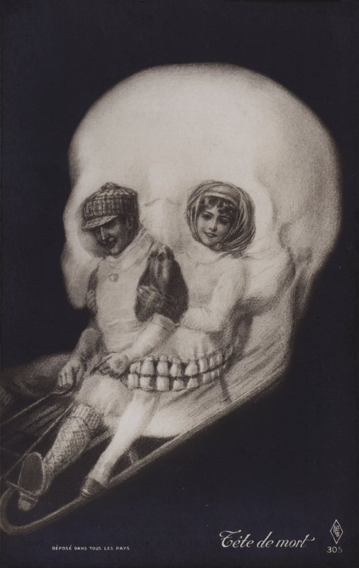 Skull by French School