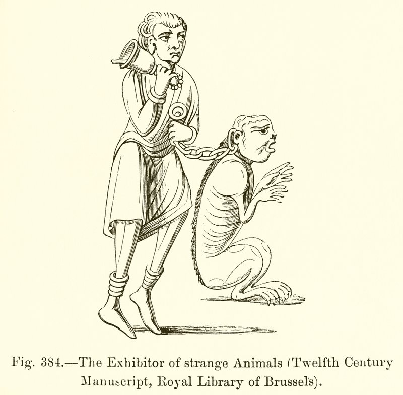 The Exhibitor of Strange Animals by French School