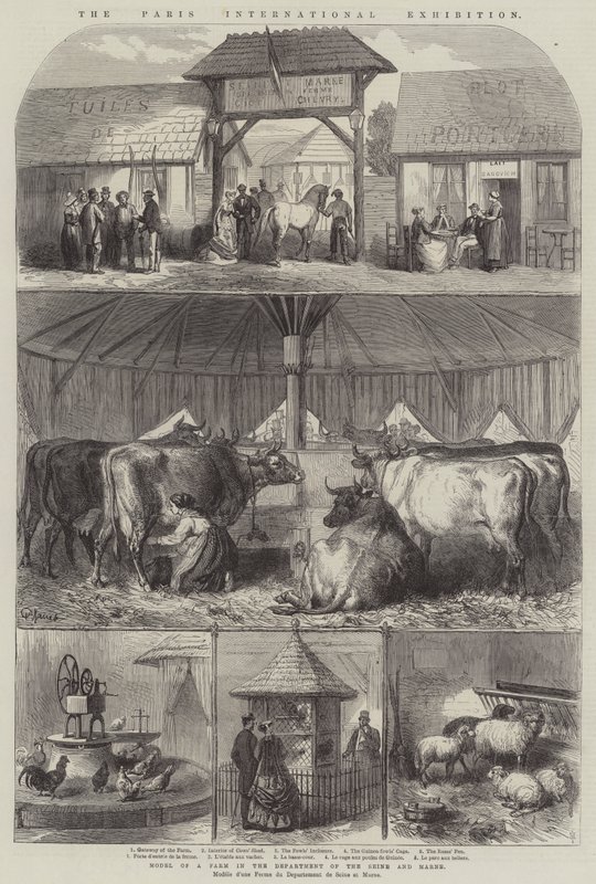 The Paris International Exhibition by French School