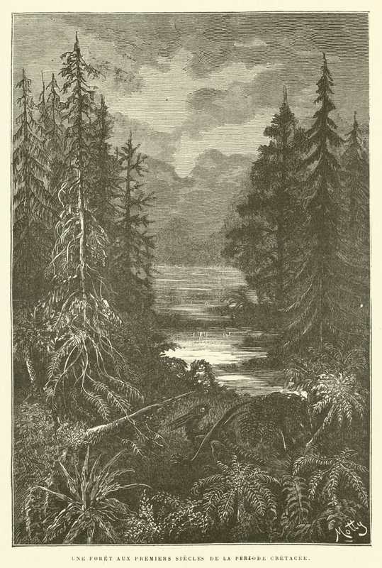 A Forest in the Early Centuries of the Cretaceous Period by French School