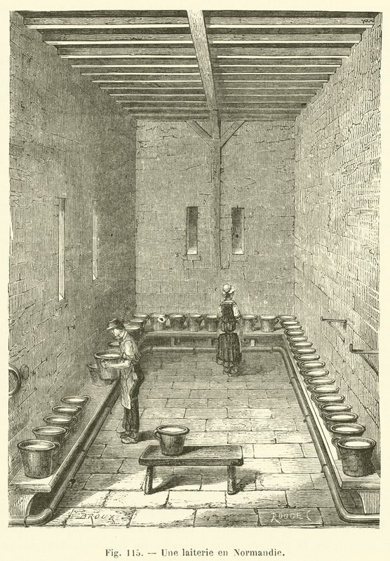 A Dairy in Normandy by French School