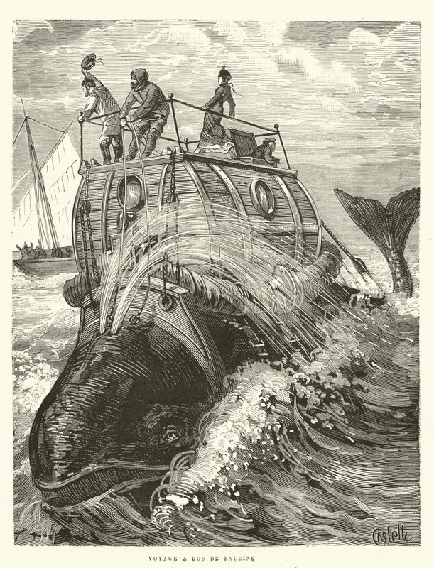 Voyage on the Back of a Whale by French School
