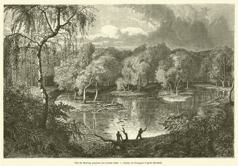 View of the Murray during high waters by French School