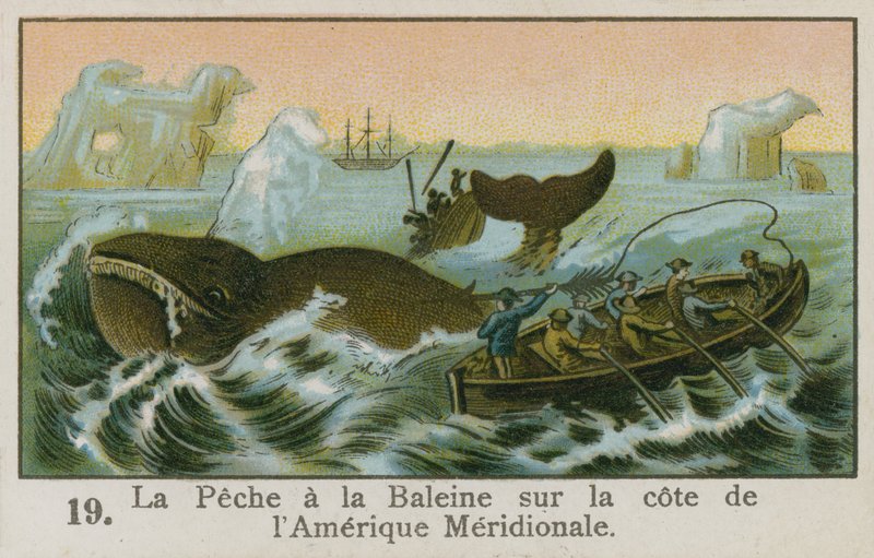 Whaling off the Coast of South America by French School