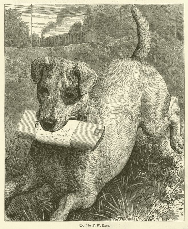 Dog by Friedrich Wilhelm Keyl