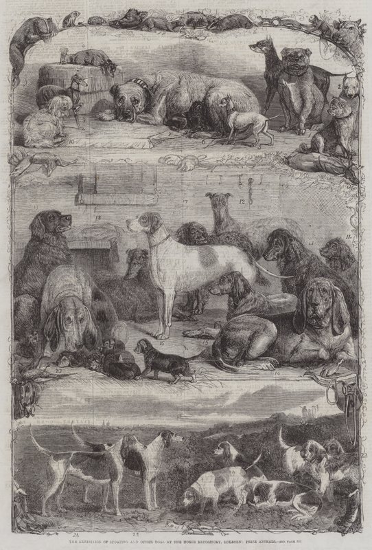 The Exhibition of Sporting and other Dogs at the Horse Repository, Holborn, Prize Animals by Friedrich Wilhelm Keyl