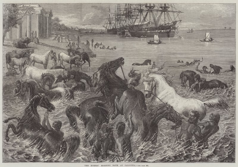 The Horses