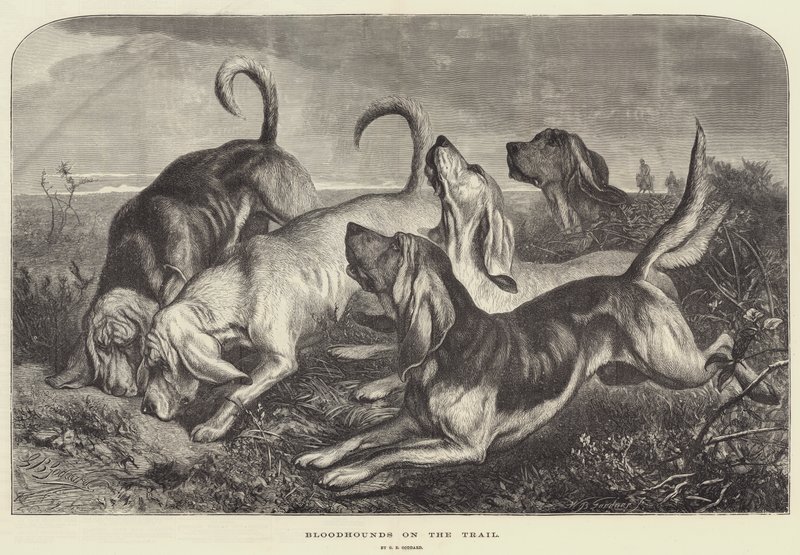 Bloodhounds on the Trail by George Bouverie Goddard