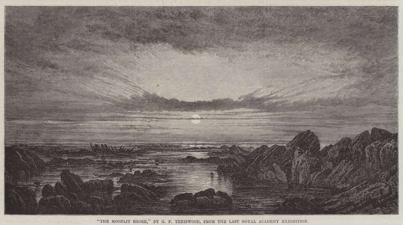 The Moonlit Shore by George F. Teniswood