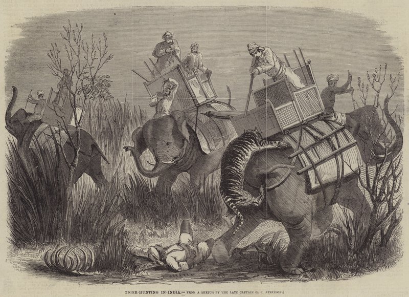 Tiger-Hunting in India by George Francklin Atkinson