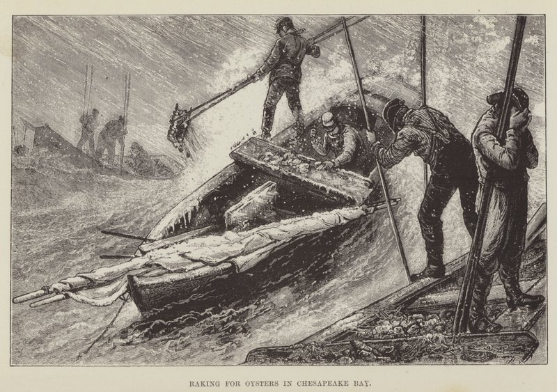 Raking for Oysters in Chesapeake Bay by George Augustus Sala