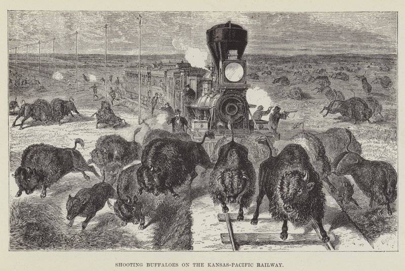 Shooting Buffaloes on the Kansas-Pacific Railway by George Augustus Sala