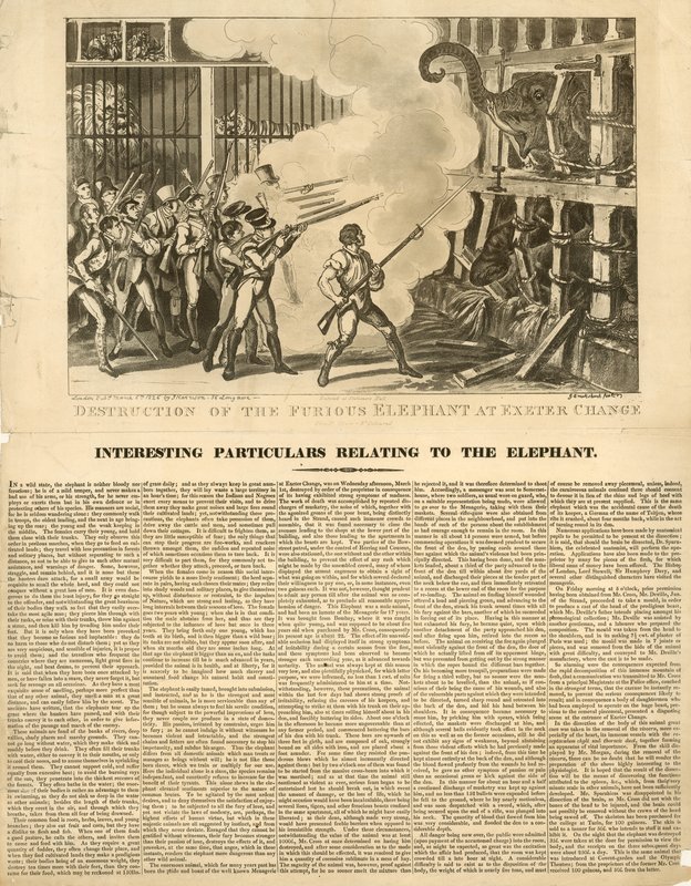 Destruction of the furious elephant at Exeter Change by George Cruikshank