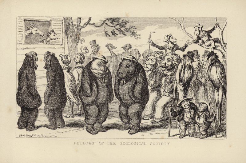 Fellows of the Zoological Society by George Cruikshank