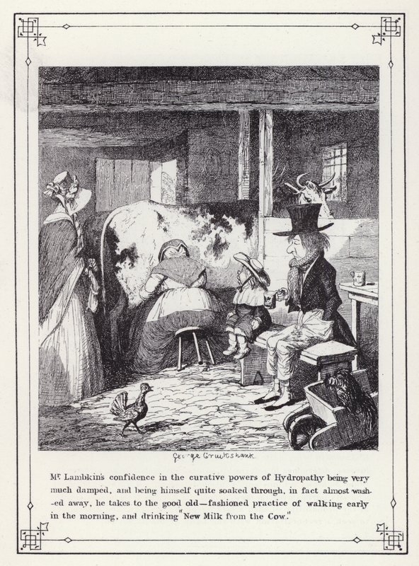 Illustration for The Bachelor