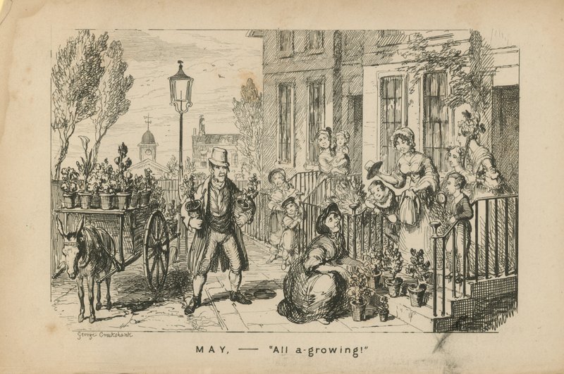 May - All A-Growing by George Cruikshank