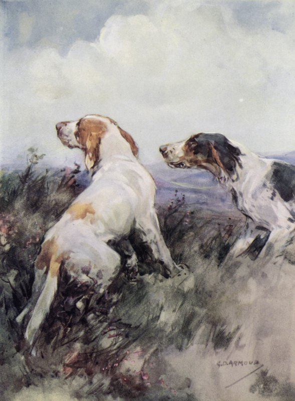 Setters by George Denholm Armour