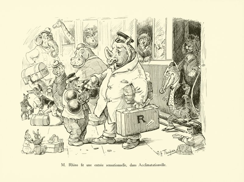 Mr. Rhino Made a Sensational Entrance in Acclimatationville by George Henry Thompson