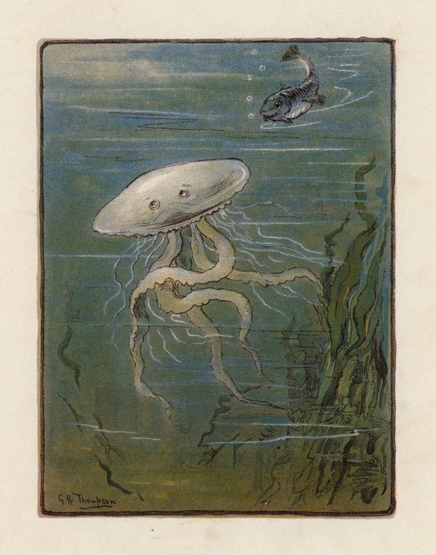 The Jellyfish by George Henry Thompson