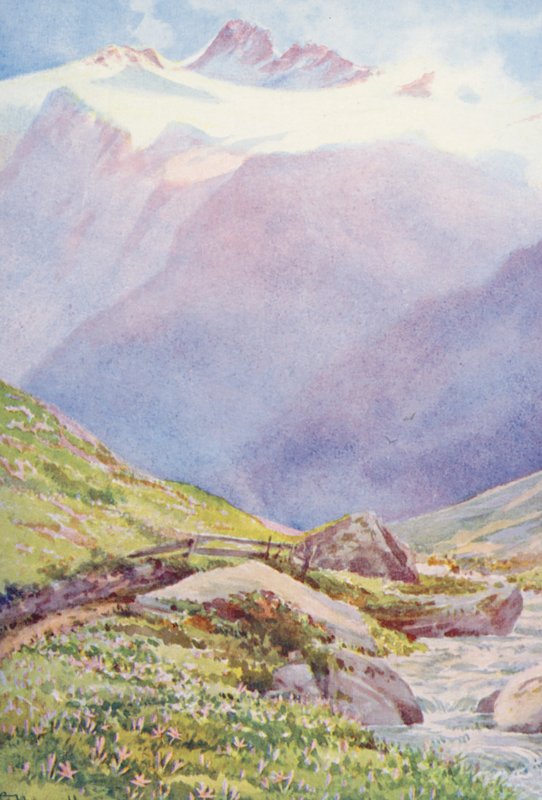 The Autumn Crocus in the fields near the village of Trient, with the Aiguille du Tour in the background, September by George Jackson Flemwell
