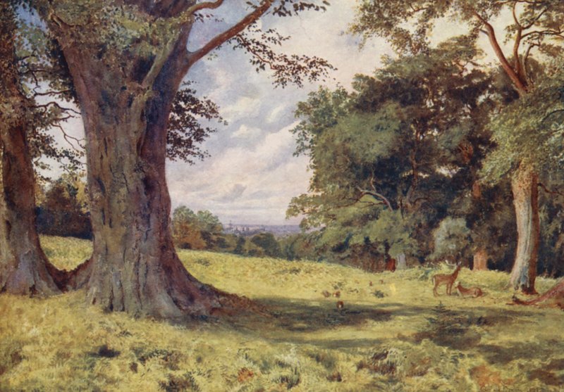A Glade in Windsor Great Park by George Moore Henton