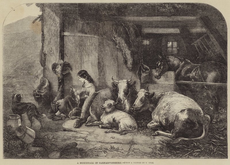 A Homestall in Carnarvonshire by George Vicat Cole
