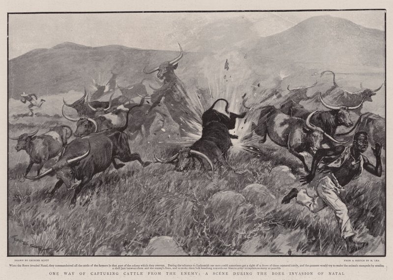 One Way of Capturing Cattle from the Enemy, a Scene during the Boer Invasion of Natal by Georges Bertin Scott
