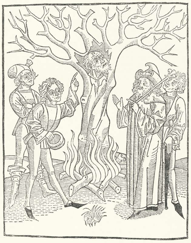 An Illustration from the Book of Wisdom by German School