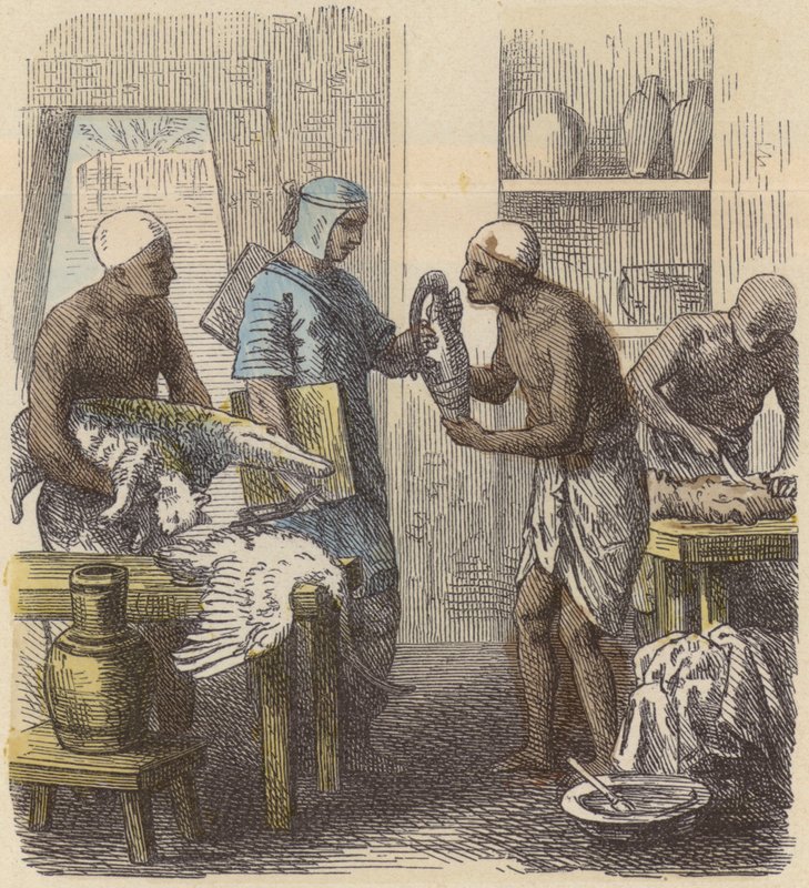Embalming of animals in Ancient Egypt by German School