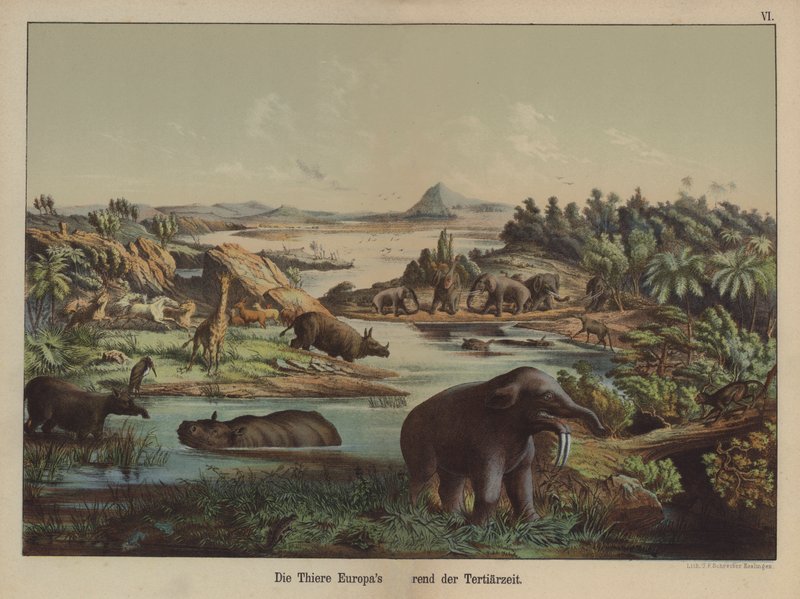 European animals of the Tertiary Period by German School