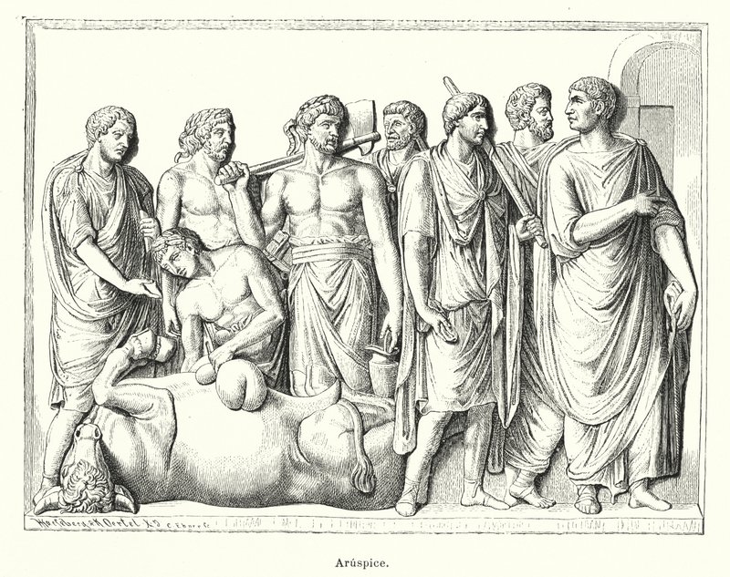 Haruspex, ancient Roman priest who examined the entrails of sacrificed animals to predict the future by German School