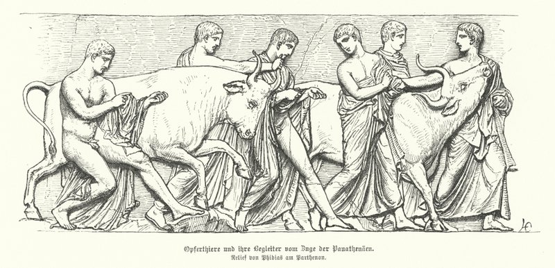 Sacrificial animals in the Ancient Greek procession of the Panathenaia by German School