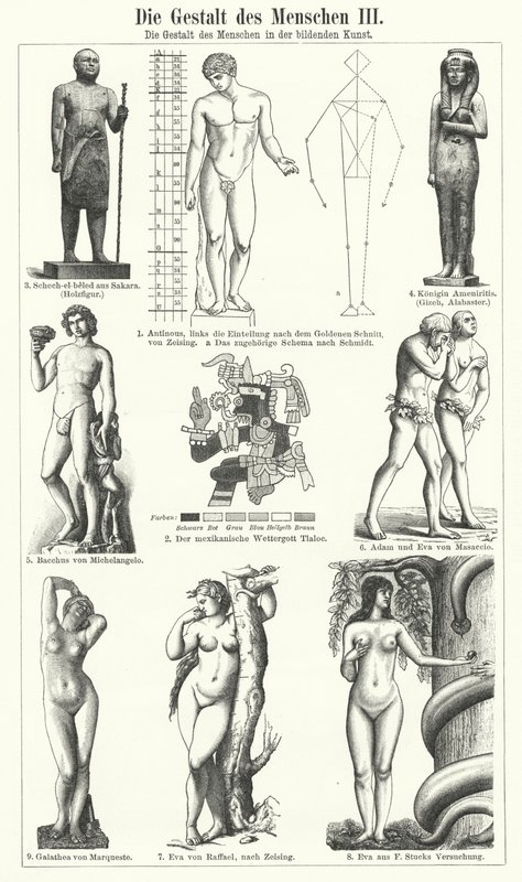 The Human Figure in the Visual Arts by German School