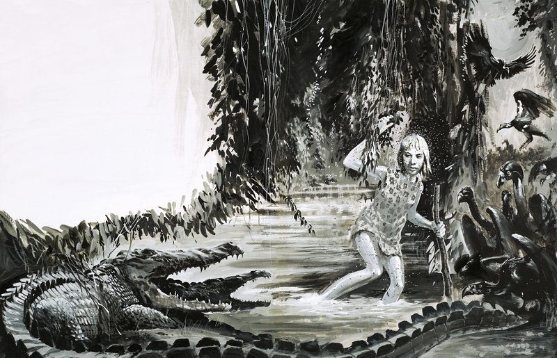 Survival: Lost in the Jungle by Graham Coton