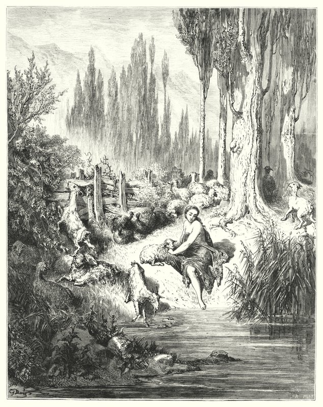 Donkey Skin by Gustave Dore