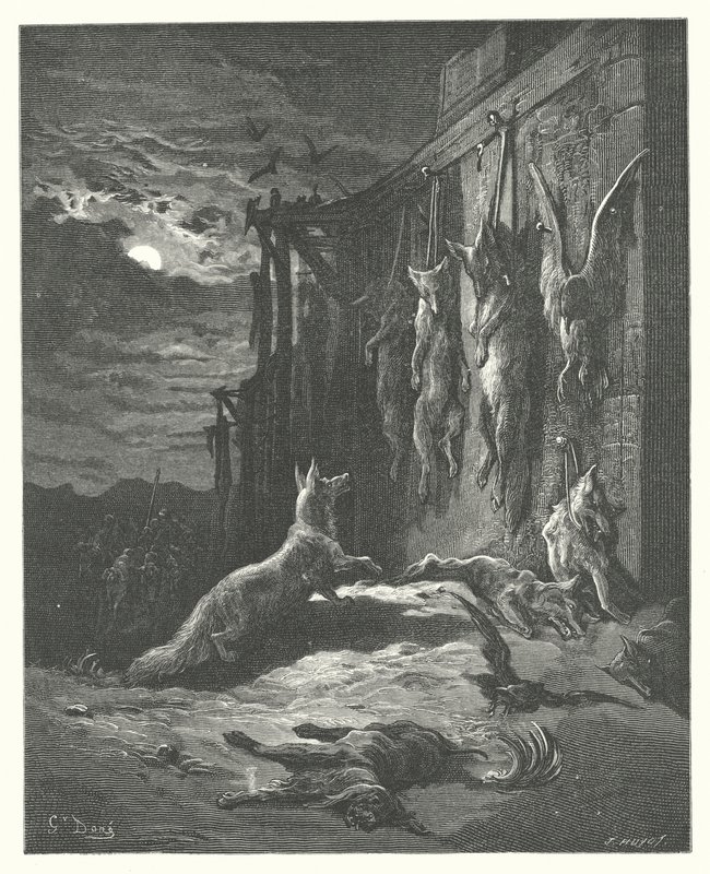 The Fables of La Fontaine: The English Fox by Gustave Dore
