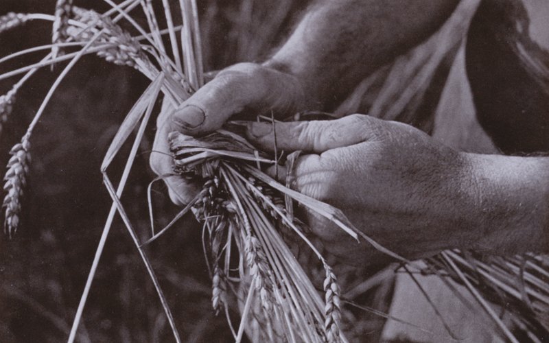 Making Straw Bands by Harold Burdekin