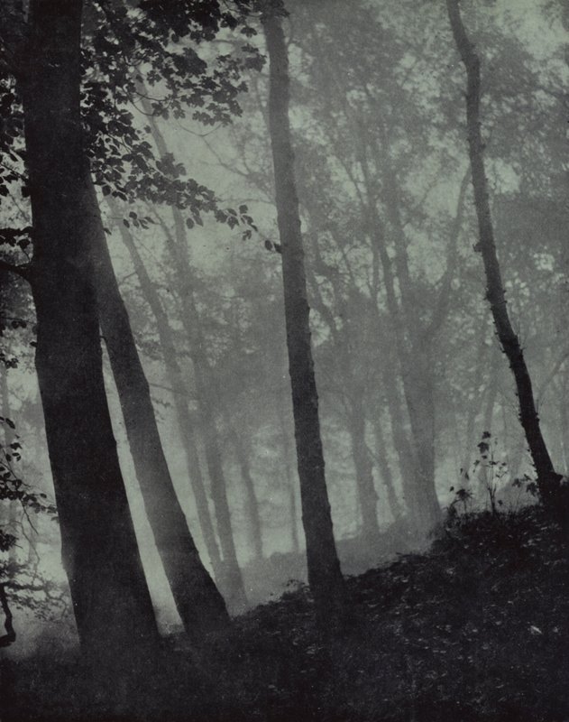 Arched Walks of Twilight Groves and Shadows Brown of Pine, or Monumental Oak, Milton by Harold Burdekin