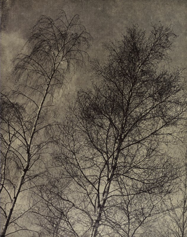 Their Charm is Writ Along a Liquid Sky, Robert Bridges by Harold Burdekin