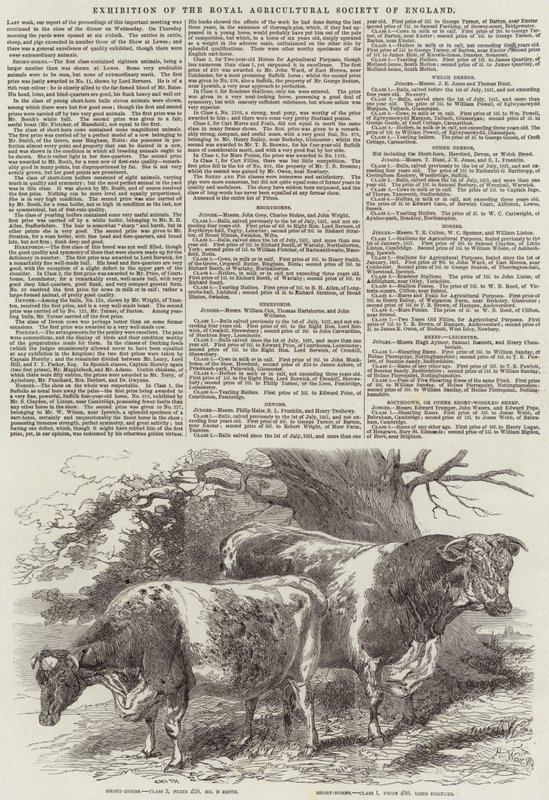 Exhibition of the Royal Agricultural Society of England by Harrison William Weir