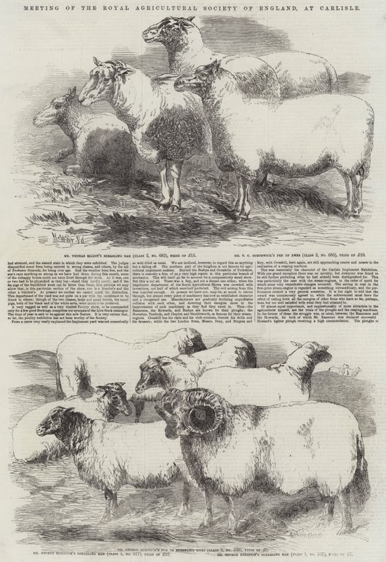 Meeting of the Royal Agricultural Society of England, at Carlisle by Harrison William Weir