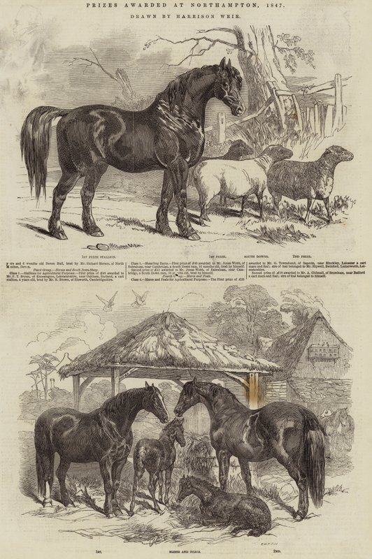 Prizes awarded at Northampton, 1847 by Harrison William Weir