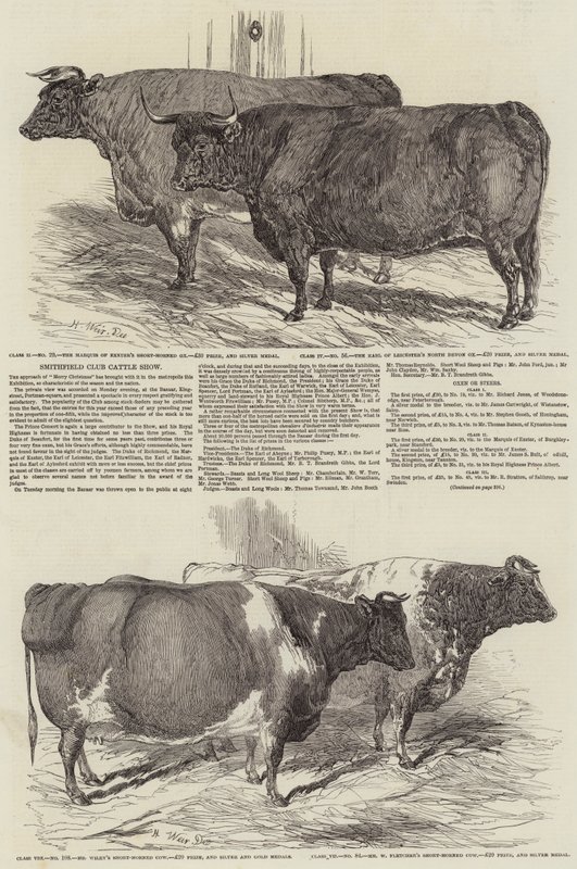 Smithfield Club Cattle Show by Harrison William Weir