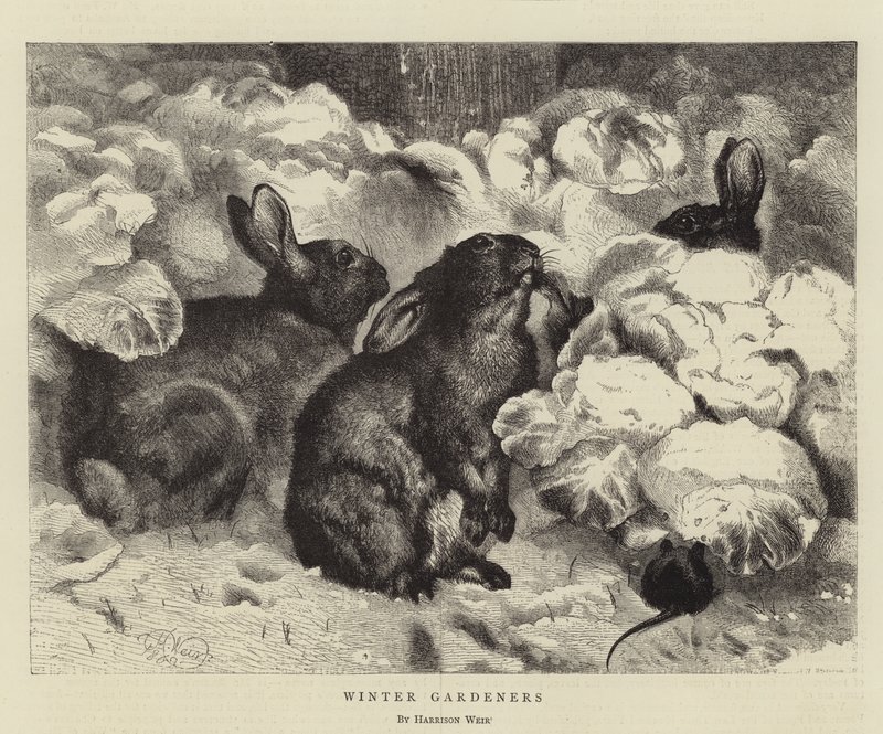 Winter Gardeners by Harrison William Weir